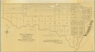 Plan shewing subdivision of Lot 20, G. I., Kamloops div., Yale dist.