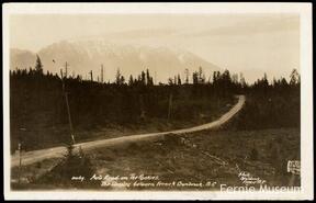 "Auto road in the Rockies, the steeples between Fernie & Cranbrook, B.C."