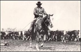 Cowboy bringing in roped calf