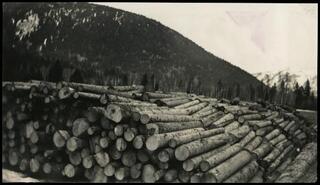Vernon Box & Pine Lumber Co., Falkland