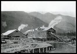 Sawmill at Comaplix