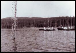Boats on Beaver Lake