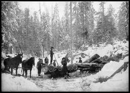 Logging with horses connected to Joe Mackie
