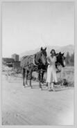Mae Sneesby with horse team and buggy