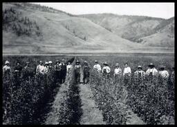 Group of men in orchard nursery at Coldstream Ranch