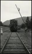 Train car full of logs at Sweet's Bridge