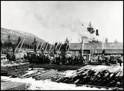 [Lumber wagons in front of Glenco sawmill]