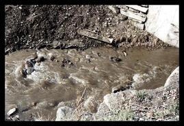 Muddy water in new creek bed diversion for BX Creek at 48 Avenue