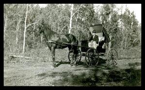 Unidentified man in horsed-drawn carriage, unknown location