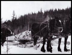 Poles loaded on sleigh pulled by team of horses