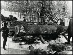[Men loading bobsled with logs at Powers Creek]