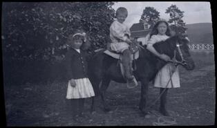 Three children with a horse