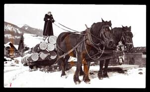 Mrs. Lamberton standing on logs on a sled pulled by two horses