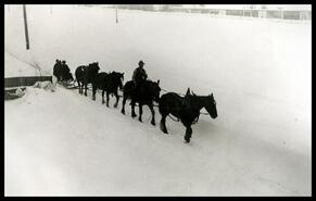 Horse drawn snowplow making early morning rounds