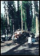 Four men with loaded logging truck