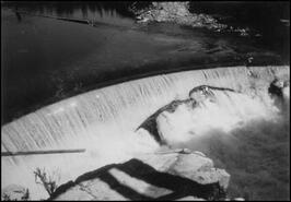 Shuswap Falls and dam