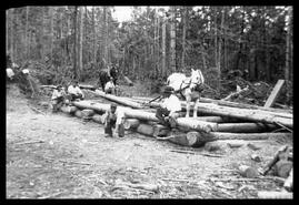 Men and two horses moving logs at unidentified road camp