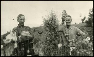 C.D. Ellis and Walter Stoddart on Ellenvale ranch