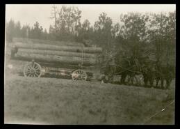 Horse-drawn logging wagon