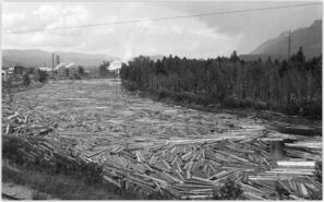 A.R. Rogers Sawmill logs in backwater on Shuswap River