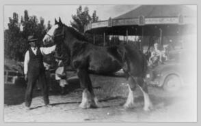 Vance Young with horse at Interior Provincial Exhibition