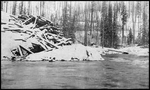 Snow covered logs at Mabel Lake