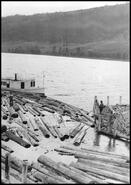Launch 'Maud Allan' idling off the Carswell Lumber log boom at the north end of Wood Lake near Oyama