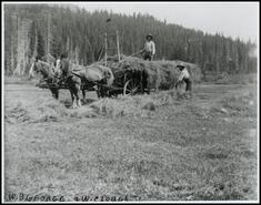 Harvesting hay on W.B. George Ranch in the Little Slocan