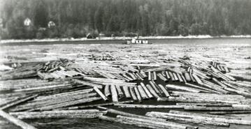 Biggest log boom towed down the lake at one time, 350,000 ft. of logs for Jennings's sawmill