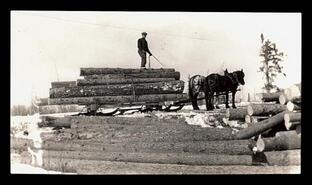 Ken Packer transporting logs on sleigh in Peace River country