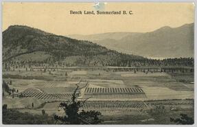 Bench Land, Summerland B.C.