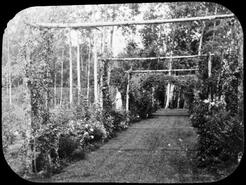 Briarwood garden