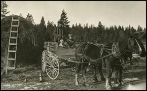Erdmann Frederick Wilhelm Sellentin with his children John and Elizabeth in horse and buggy