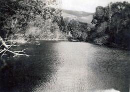Ginty's pond