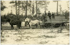 Horse-drawn wagon hauling lumber