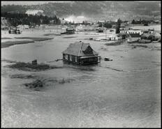 Flooding around McKay house, Athalmer, B.C.
