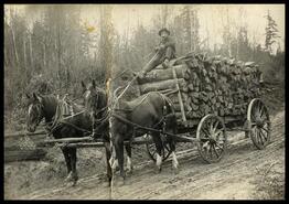 Man and horse-drawn cart load of logs