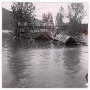 Kelly's and Mills' boathouses destroyed by flood