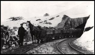 Horse pulling loaded coal cars from No. 2 Mine near Coldwater River at Middlesboro