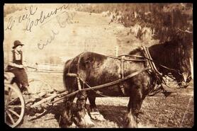 Cecil Coburn on horse drawn wagon