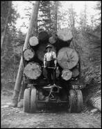 Charles Parkinson standing on the back of a Baird Bros. truck loaded with logs