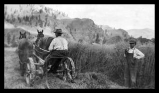 J.R. Jackson and Robert "Sonny" Jackson cutting hay on the Jackson ranch