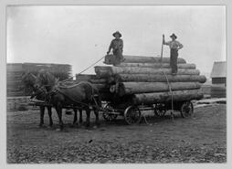 Team and wagon load of logs