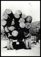 Load of logs at Bevans gas pumps
