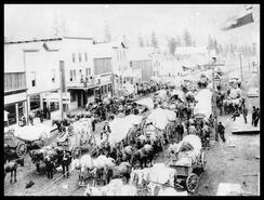 Many covered wagons on a street in Cascade, B.C.