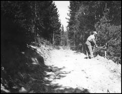 Tree clearing on new 'Silver Star Road' leading to the Silver Star Mountain ski area