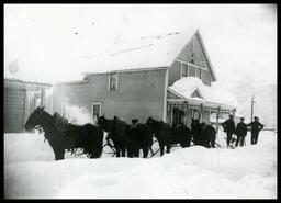 Team of horses and men outside 'Pully' home