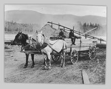 Graydon & Cliff Hardwick on wagon at Otter Lake sawmill