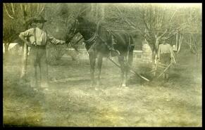 Plowing on the Maley farm