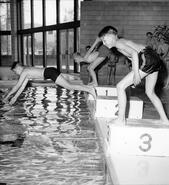 Boys diving into Vernon Rec Centre swimming pool